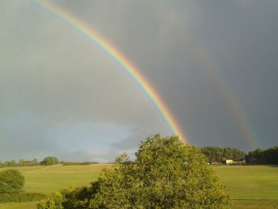 Apartment 2-Bett-Ferienwohnung - Outdoor photo 14