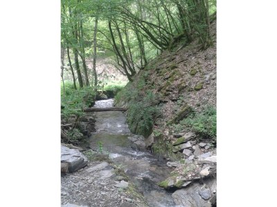 Apartment 2-Bett-Ferienwohnung - Outdoor photo 16