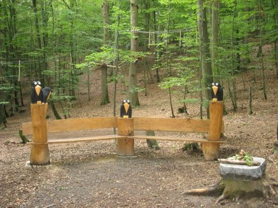 Apartment 2-Bett-Ferienwohnung - Outdoor photo 28