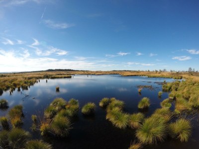 Apartment 2-Bett-Ferienwohnung Eife(e)l-Home (bis 3 Pers.) - Outdoor photo 8
