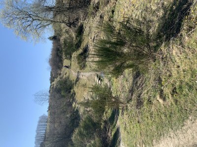 Apartment 2-Bett-Ferienwohnung Eife(e)l-Home (bis 3 Pers.) - Outdoor photo 9