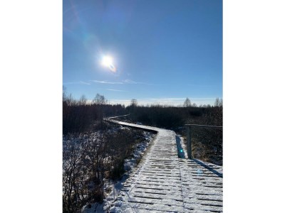 Apartment 2-Bett-Ferienwohnung Eife(e)l-Home (bis 3 Pers.) - Outdoor photo 13