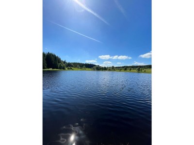 Apartment 2-Bett-Ferienwohnung Eife(e)l-Home (bis 3 Pers.) - Outdoor photo 15