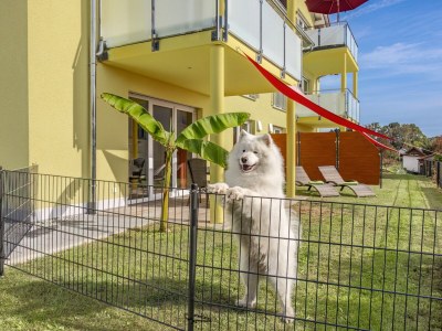 Holiday apartment A favourite place - Outdoor photo 4