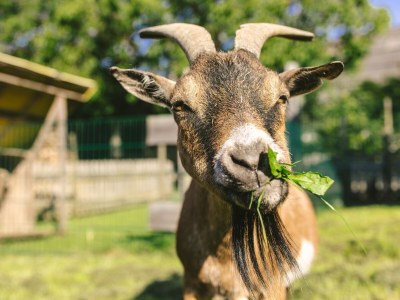 Holiday apartment A favourite place - Environment photo 26