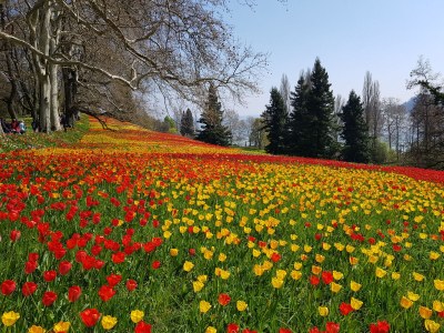 Holiday apartment A favourite place - Environment photo 29