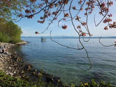 Holiday apartment A favourite place - Environment photo 30