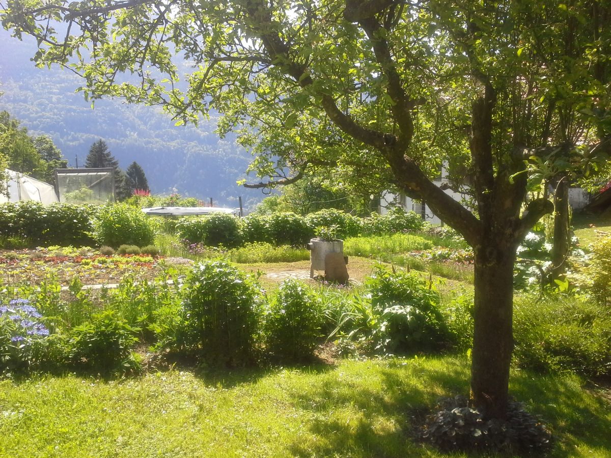 Holiday apartment Forstbauer - Outdoor photo 3