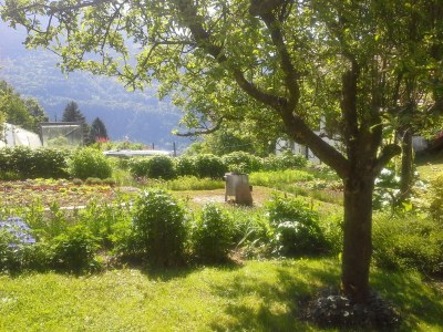 Holiday apartment Forstbauer - Outdoor photo 3