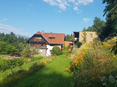 Holiday apartment Forstbauer - Outdoor photo 4