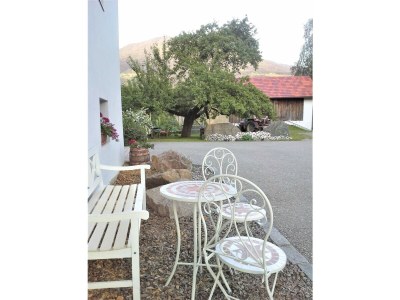 Holiday apartment Forstbauer - Outdoor photo 6