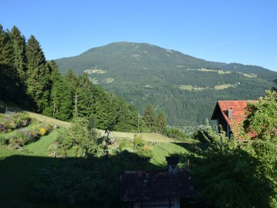 Holiday apartment Forstbauer - Outdoor photo 8