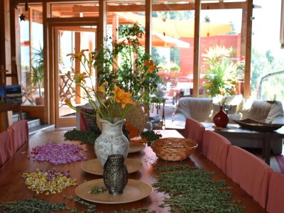 Holiday apartment Forstbauer - Features photo 14