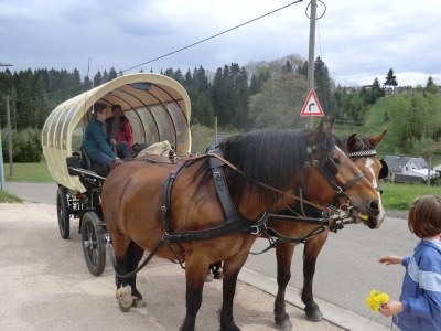 Holiday house Irena - Environment photo 32