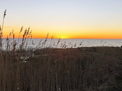 Holiday house Renovierter Ruckzug in Als Odde -- By Traum Ferienwohnungen - Outdoor photo 23