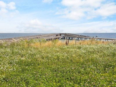 Holiday house Renovierter Ruckzug in Als Odde -- By Traum Ferienwohnungen - Outdoor photo 31