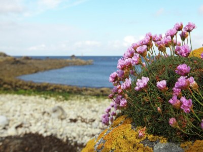 Holiday house Spacious holiday home with heated indoor pool - Environment photo 35