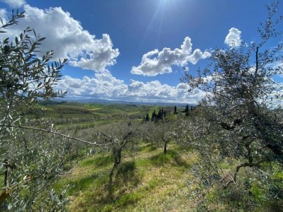 Apartment Bauernhaus in Chianti mit Pool & Garten - Environment photo 31