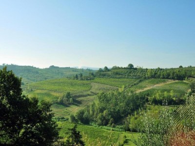 Apartment Bauernhaus in Chianti mit Pool & Garten - Environment photo 32