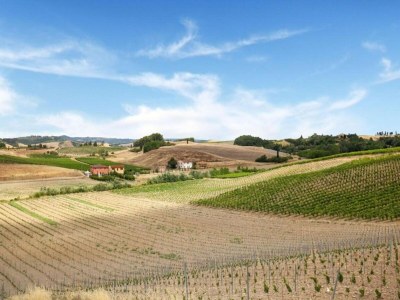 Apartment Bauernhaus in Chianti mit Pool & Garten - Environment photo 37