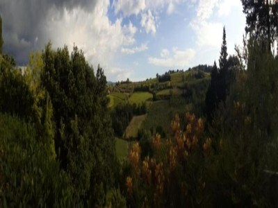 Apartment Bauernhaus in Chianti mit Pool & Garten - Environment photo 40