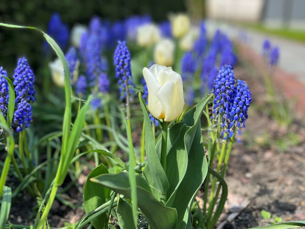 Holiday house No title - Outdoor photo 5