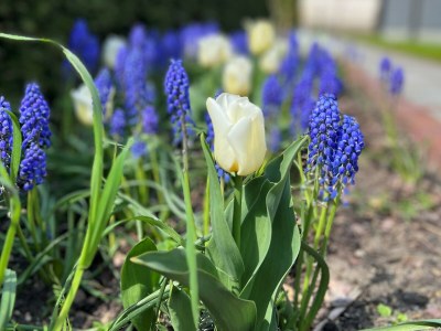 Holiday house No title - Outdoor photo 5