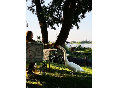 Holiday house No title - Environment photo 22