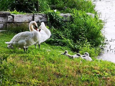 Holiday house No title - Environment photo 25