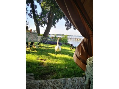 Holiday house No title - Environment photo 27