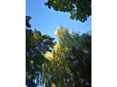 Holiday house No title - Environment photo 29