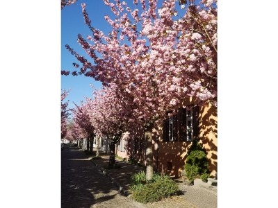 Holiday house No title - Environment photo 33