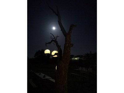 Holiday house No title - Environment photo 35