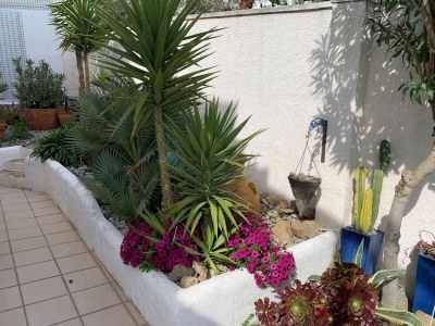 Holiday house Casa Mar y Viento - Outdoor photo 11