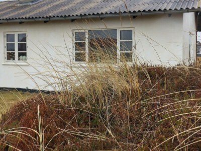 Holiday house 4 person holiday home in Frøstrup - Outdoor photo 25