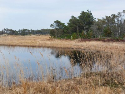 Holiday house 4 person holiday home in Frøstrup - Outdoor photo 28