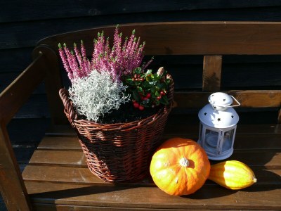 Apartment 10-Bett-Wohnung "Sonnenblume" - Features photo 23