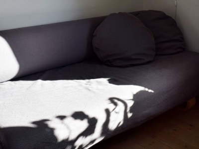 Holiday house 9 Personen Ferienhaus in NESØYA-By Traum - Outdoor photo 28