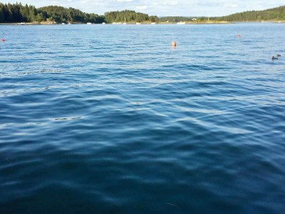 Holiday house 9 Personen Ferienhaus in NESØYA-By Traum - Outdoor photo 38