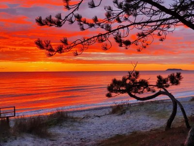 Holiday house 10 person holiday home in Ebeltoft-By Traum - Outdoor photo 35