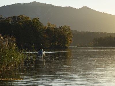 Holiday apartment Hörnleblick - Environment photo 16