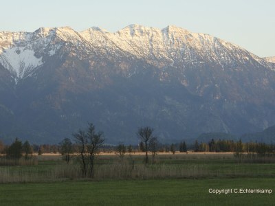 Holiday apartment Hörnleblick - Environment photo 17