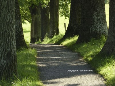 Holiday apartment Hörnleblick - Environment photo 20