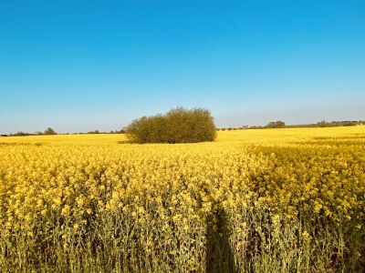 Holiday house Sansibar of Poel - Environment photo 37