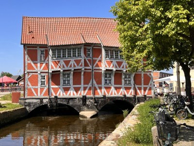 Holiday house Sansibar of Poel - Environment photo 38