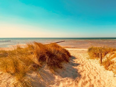 Holiday house Sansibar of Poel - Environment photo 39