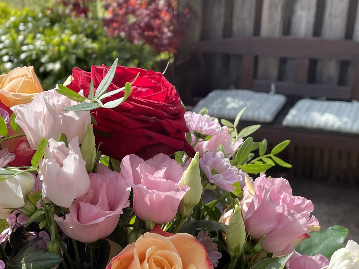 Holiday apartment Haus Heckenrose Whg. 8 - Outdoor photo 3