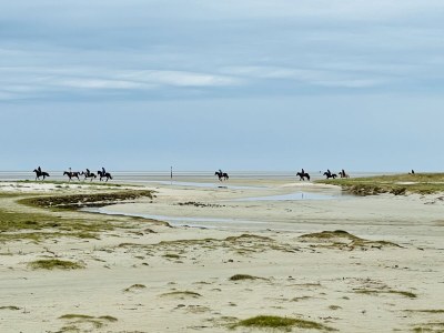 Holiday apartment Haus Heckenrose Whg. 8 - Environment photo 31