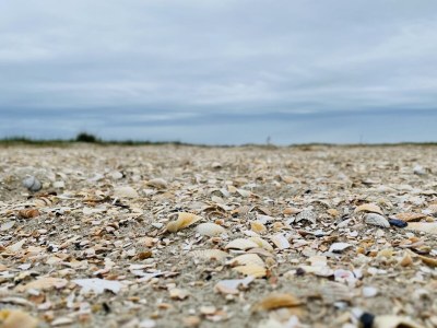 Holiday apartment Haus Heckenrose Whg. 8 - Environment photo 32