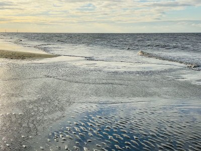 Holiday apartment Haus Heckenrose Whg. 8 - Environment photo 35